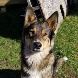 Meet your Posher, Natasha